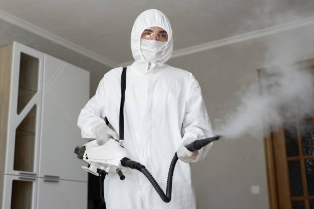 Why You Should Choose Our Mold Remediation Services in West Kittanning, PA