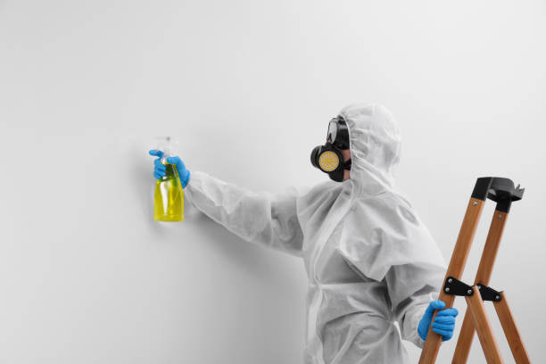 Best Mold Removal for HVAC Installations in West Kittanning, PA