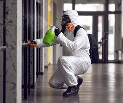 West Kittanning, PA Mold Removal Company